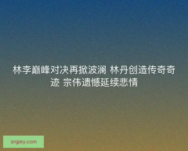 林李巅峰对决再掀波澜 林丹创造传奇奇迹 宗伟遗憾延续悲情